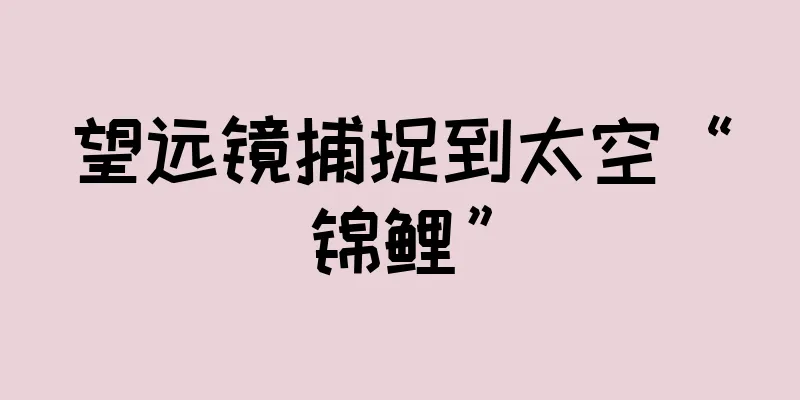 望远镜捕捉到太空“锦鲤”