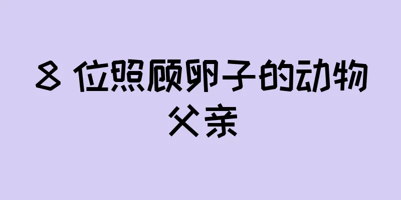 8 位照顾卵子的动物父亲