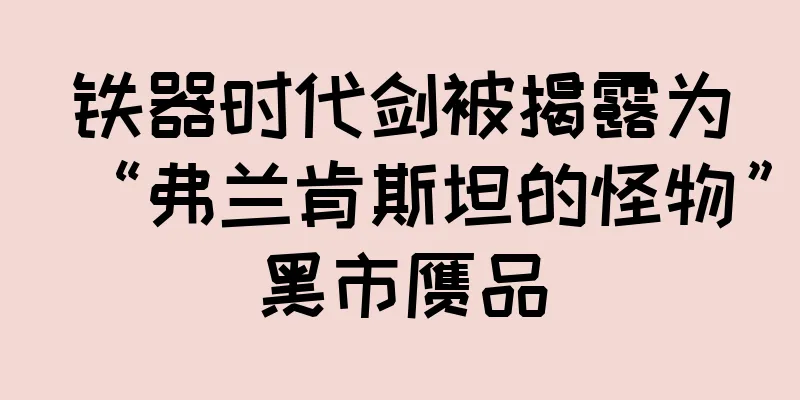铁器时代剑被揭露为“弗兰肯斯坦的怪物”黑市赝品