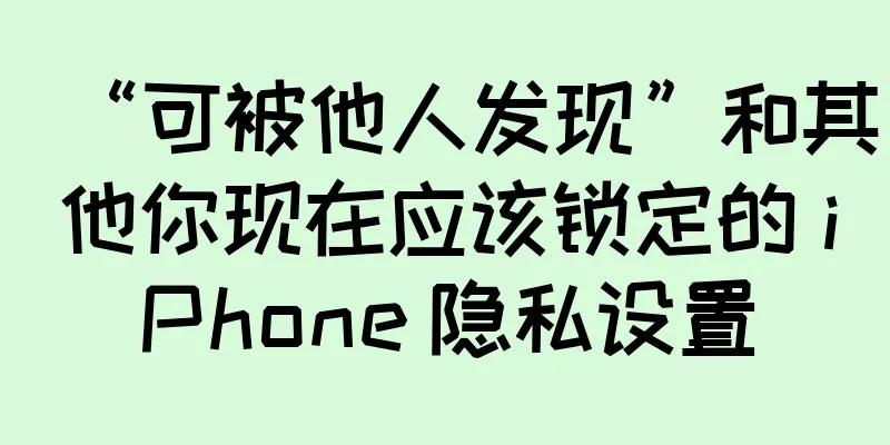 “可被他人发现”和其他你现在应该锁定的 iPhone 隐私设置