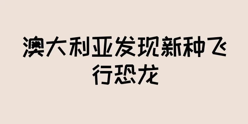 澳大利亚发现新种飞行恐龙