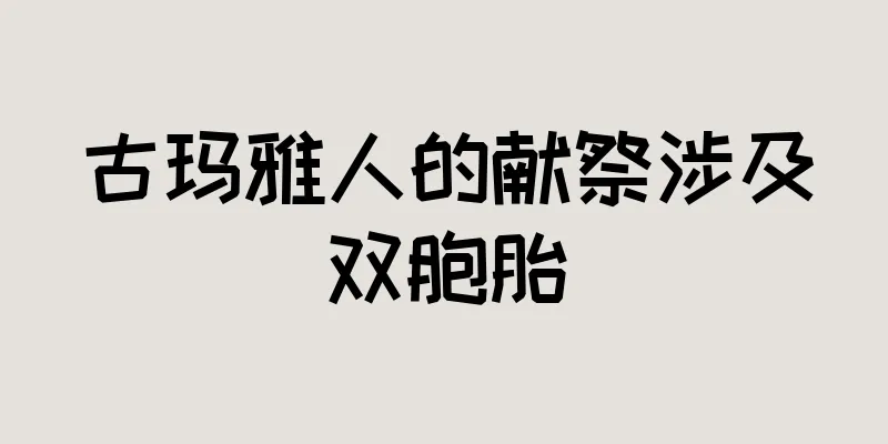 古玛雅人的献祭涉及双胞胎