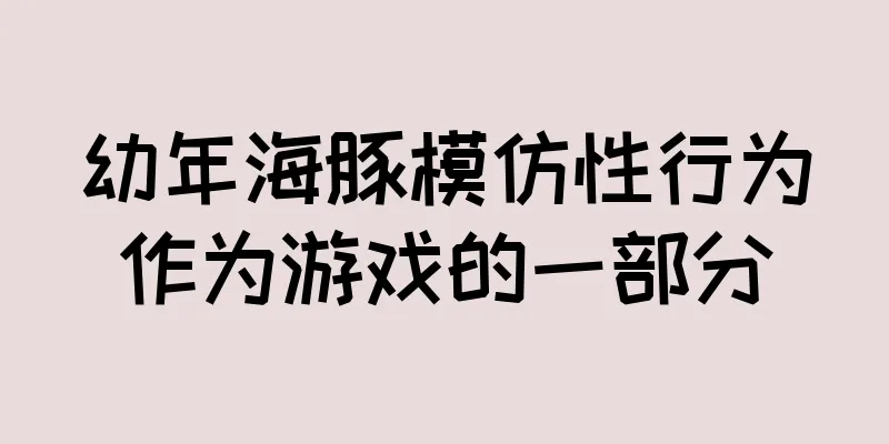 幼年海豚模仿性行为作为游戏的一部分