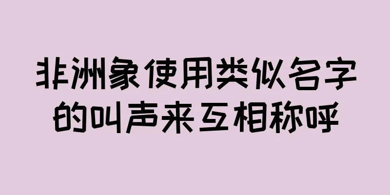 非洲象使用类似名字的叫声来互相称呼
