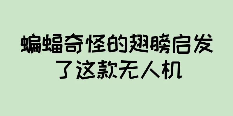 蝙蝠奇怪的翅膀启发了这款无人机