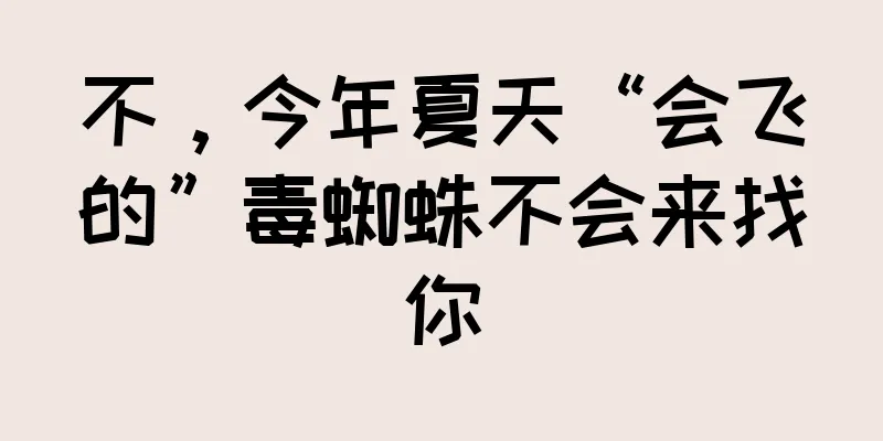 不，今年夏天“会飞的”毒蜘蛛不会来找你