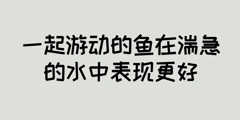 一起游动的鱼在湍急的水中表现更好