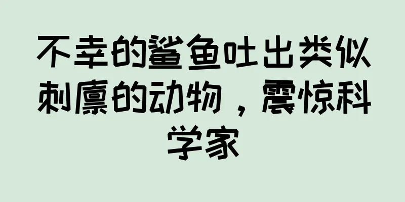 不幸的鲨鱼吐出类似刺猬的动物，震惊科学家