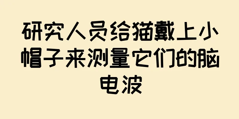 研究人员给猫戴上小帽子来测量它们的脑电波