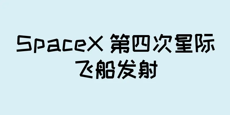 SpaceX 第四次星际飞船发射