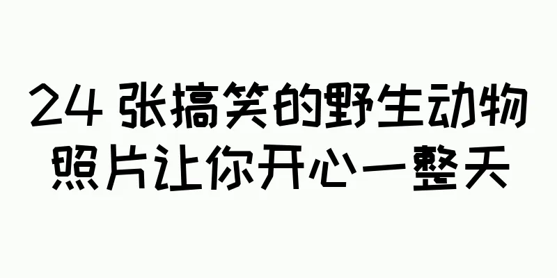 24 张搞笑的野生动物照片让你开心一整天