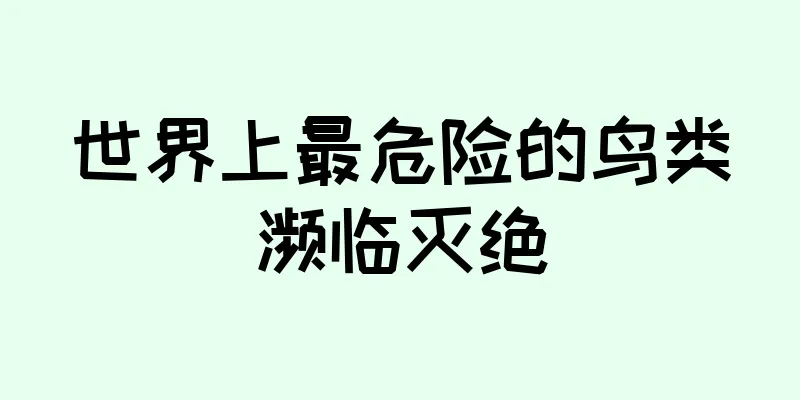 世界上最危险的鸟类濒临灭绝
