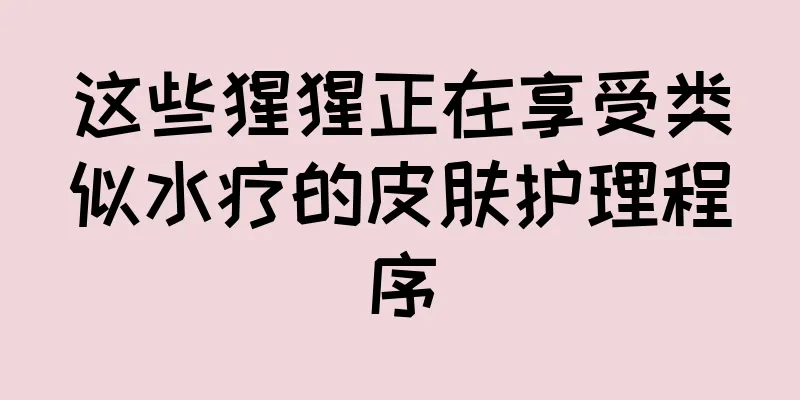 这些猩猩正在享受类似水疗的皮肤护理程序