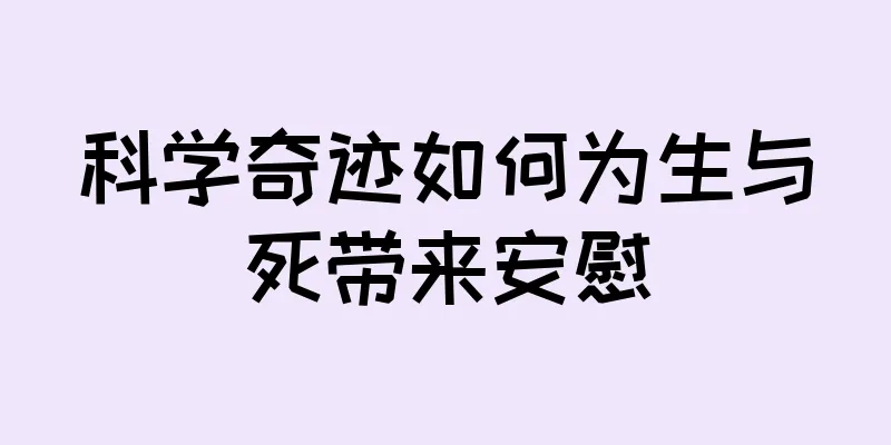 科学奇迹如何为生与死带来安慰