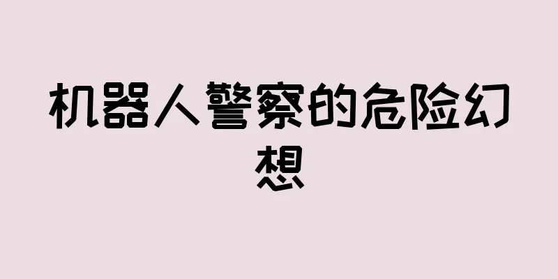 机器人警察的危险幻想