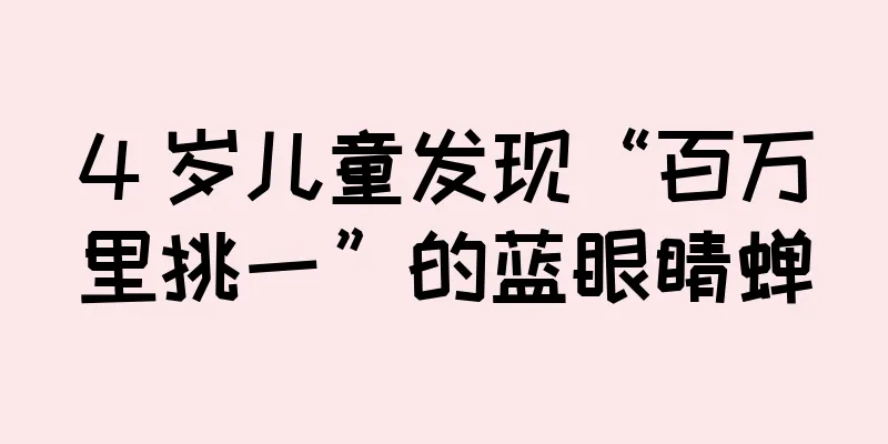 4 岁儿童发现“百万里挑一”的蓝眼睛蝉