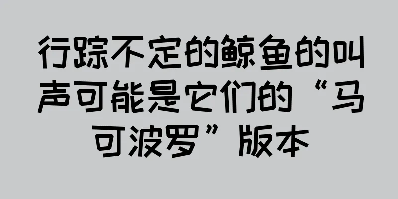 行踪不定的鲸鱼的叫声可能是它们的“马可波罗”版本