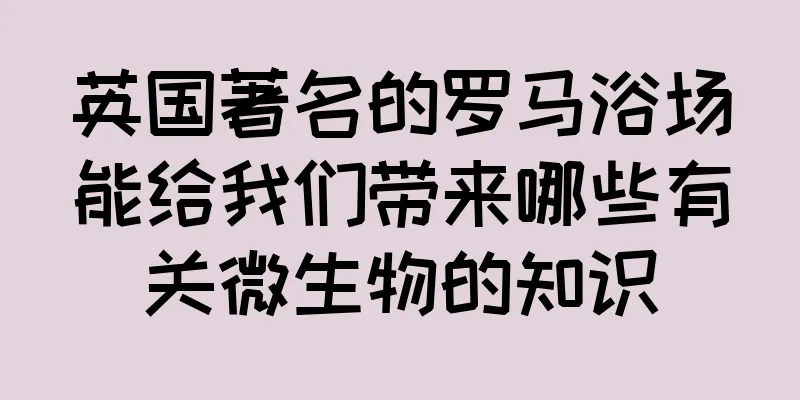 英国著名的罗马浴场能给我们带来哪些有关微生物的知识