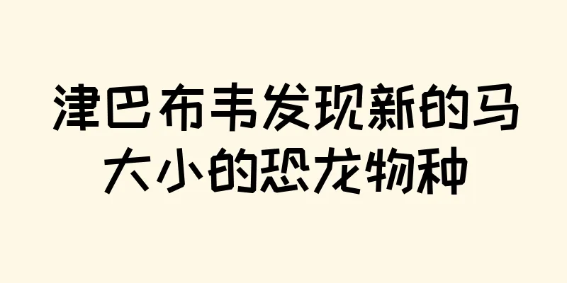 津巴布韦发现新的马大小的恐龙物种
