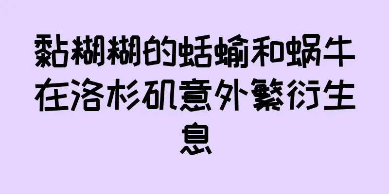 黏糊糊的蛞蝓和蜗牛在洛杉矶意外繁衍生息