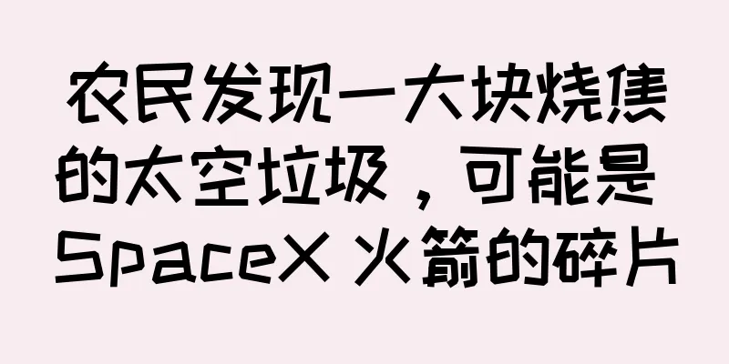 农民发现一大块烧焦的太空垃圾，可能是 SpaceX 火箭的碎片