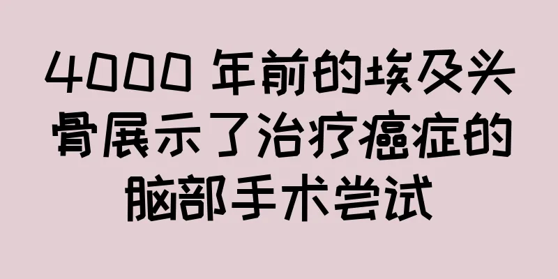 4000 年前的埃及头骨展示了治疗癌症的脑部手术尝试