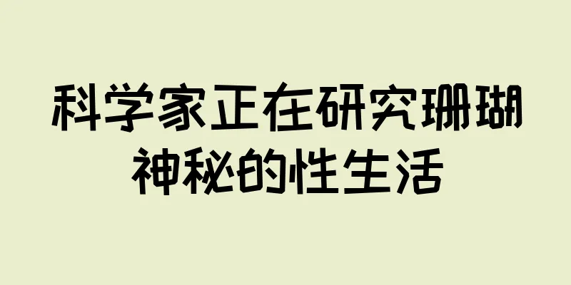 科学家正在研究珊瑚神秘的性生活