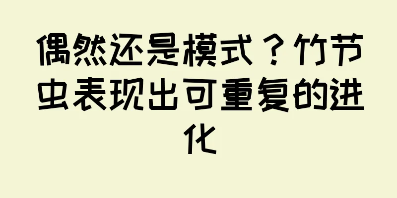 偶然还是模式？竹节虫表现出可重复的进化