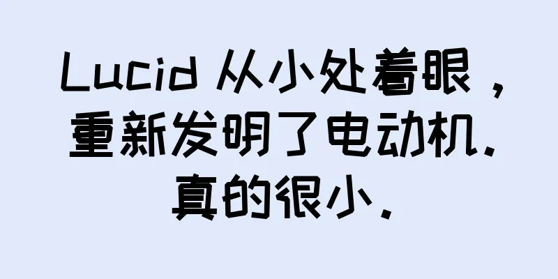 Lucid 从小处着眼，重新发明了电动机。真的很小。