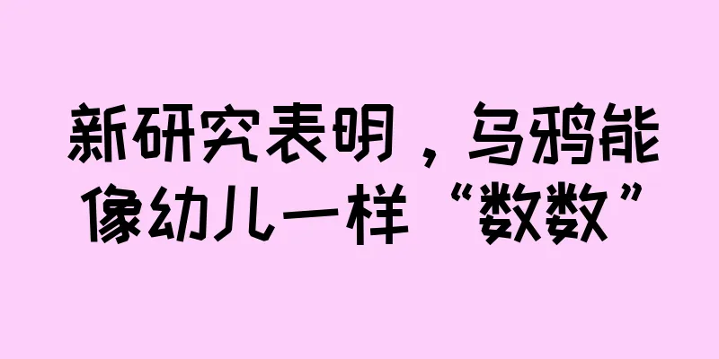 新研究表明，乌鸦能像幼儿一样“数数”