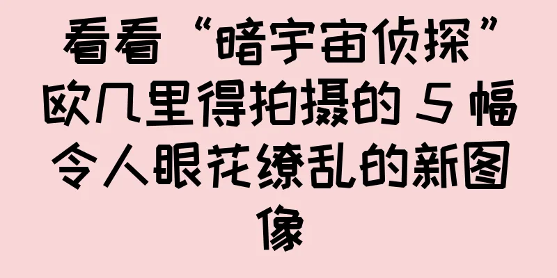看看“暗宇宙侦探”欧几里得拍摄的 5 幅令人眼花缭乱的新图像