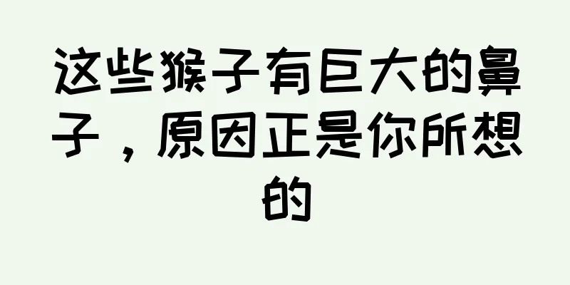 这些猴子有巨大的鼻子，原因正是你所想的