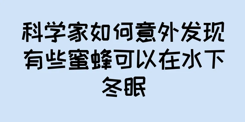 科学家如何意外发现有些蜜蜂可以在水下冬眠