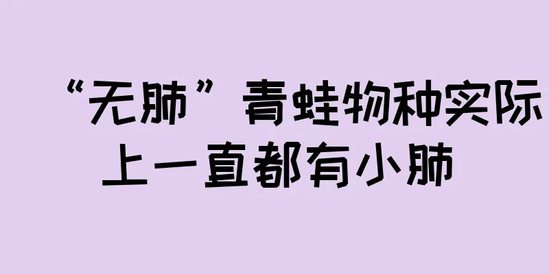 “无肺”青蛙物种实际上一直都有小肺