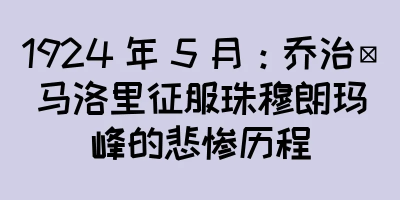 1924 年 5 月：乔治·马洛里征服珠穆朗玛峰的悲惨历程