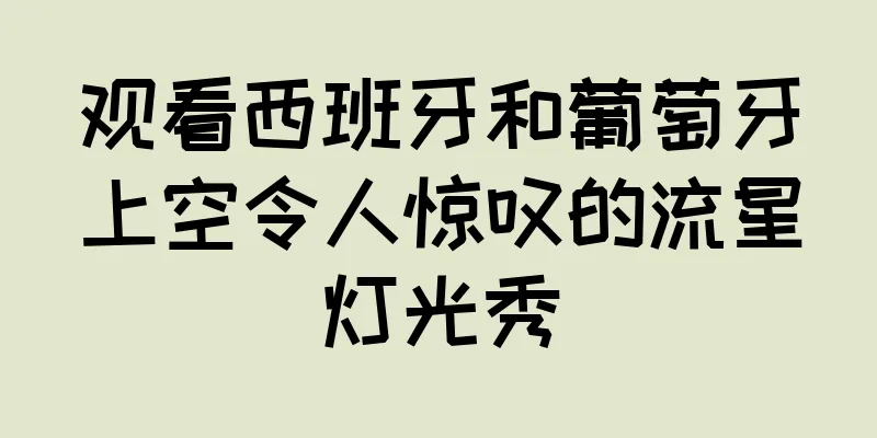 观看西班牙和葡萄牙上空令人惊叹的流星灯光秀