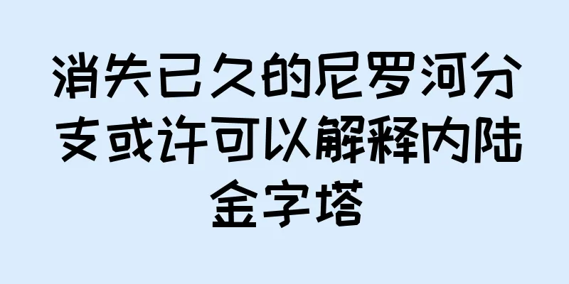 消失已久的尼罗河分支或许可以解释内陆金字塔