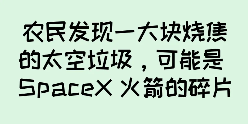 农民发现一大块烧焦的太空垃圾，可能是 SpaceX 火箭的碎片