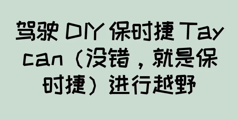 驾驶 DIY 保时捷 Taycan（没错，就是保时捷）进行越野