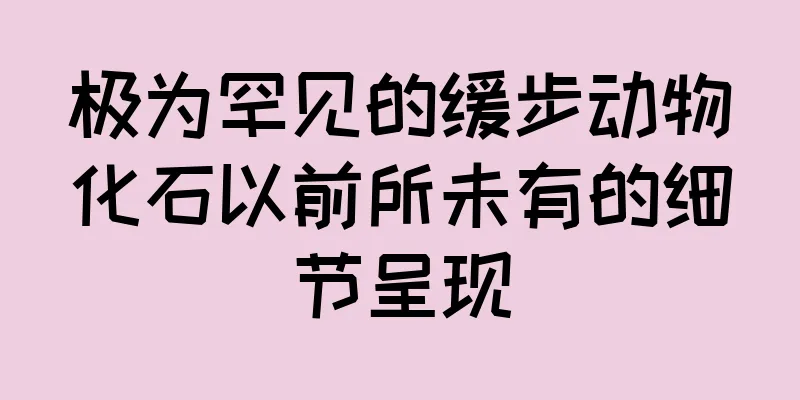 极为罕见的缓步动物化石以前所未有的细节呈现