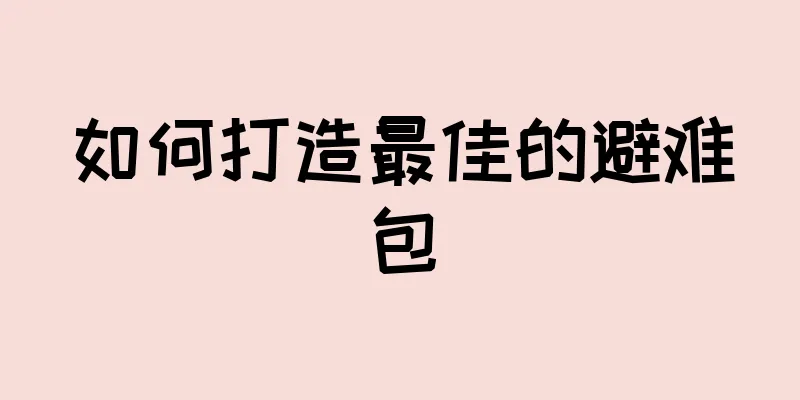 如何打造最佳的避难包