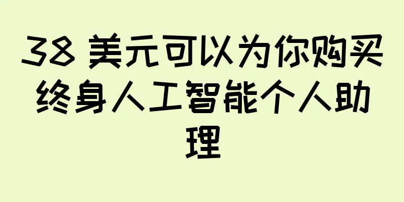 38 美元可以为你购买终身人工智能个人助理