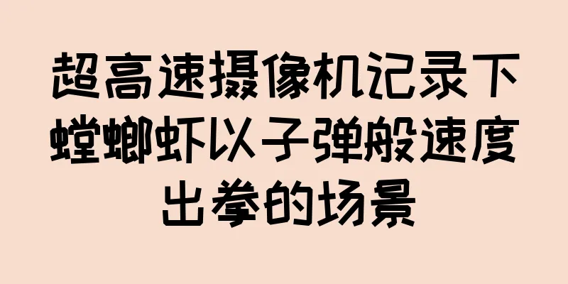 超高速摄像机记录下螳螂虾以子弹般速度出拳的场景