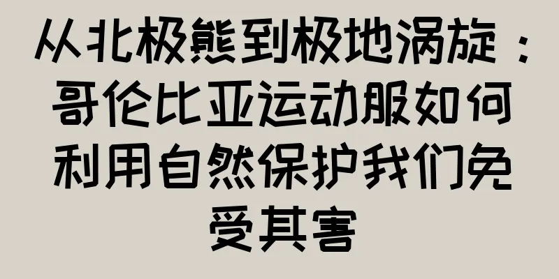 从北极熊到极地涡旋：哥伦比亚运动服如何利用自然保护我们免受其害
