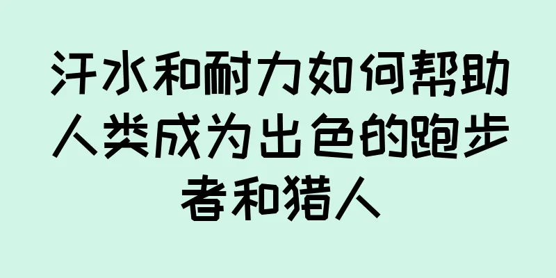 汗水和耐力如何帮助人类成为出色的跑步者和猎人