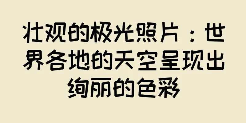 壮观的极光照片：世界各地的天空呈现出绚丽的色彩