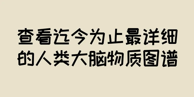 查看迄今为止最详细的人类大脑物质图谱