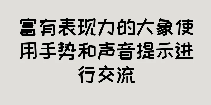 富有表现力的大象使用手势和声音提示进行交流