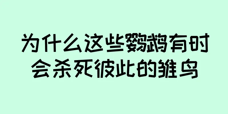 为什么这些鹦鹉有时会杀死彼此的雏鸟