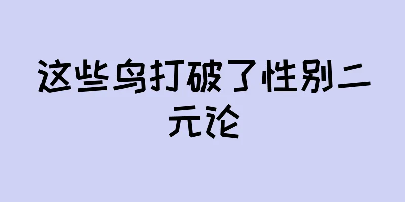 这些鸟打破了性别二元论